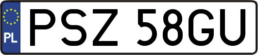PSZ58GU