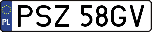 PSZ58GV