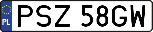 PSZ58GW