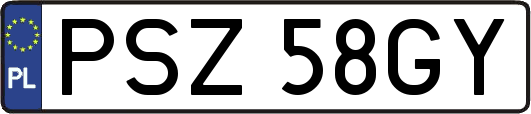 PSZ58GY