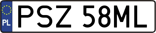 PSZ58ML