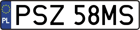 PSZ58MS