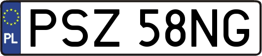 PSZ58NG