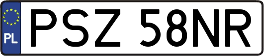 PSZ58NR