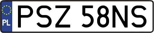 PSZ58NS