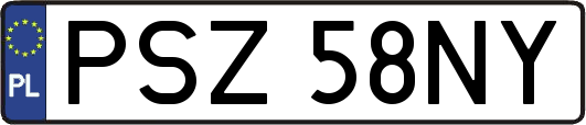PSZ58NY