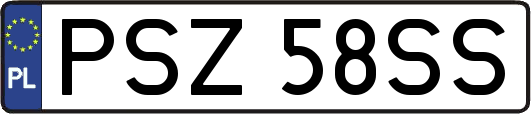 PSZ58SS