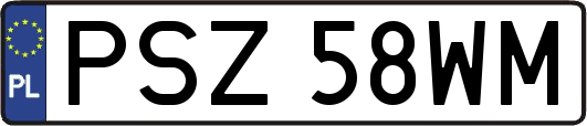 PSZ58WM