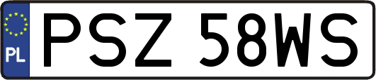 PSZ58WS