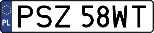 PSZ58WT