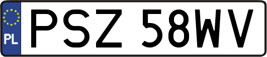 PSZ58WV