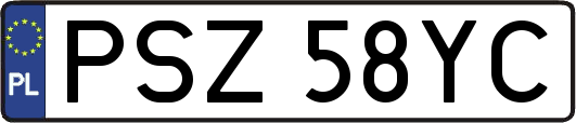 PSZ58YC