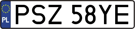 PSZ58YE