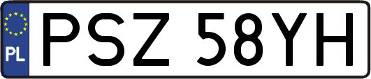 PSZ58YH
