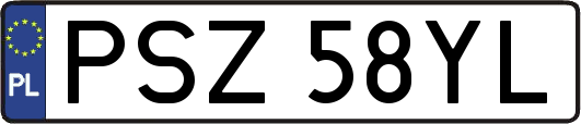 PSZ58YL