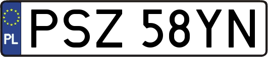 PSZ58YN
