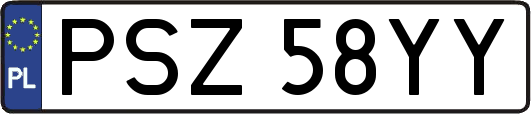 PSZ58YY