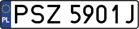 PSZ5901J