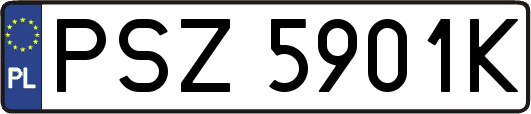 PSZ5901K