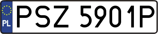 PSZ5901P