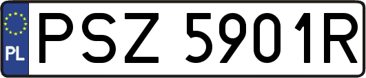PSZ5901R