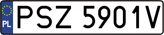 PSZ5901V