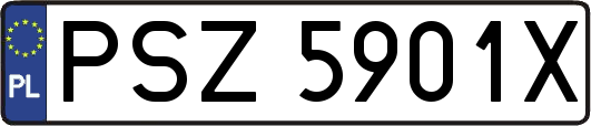 PSZ5901X
