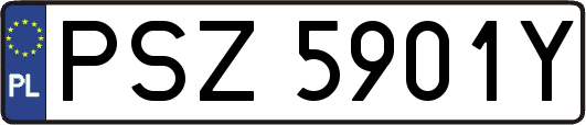 PSZ5901Y