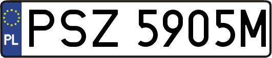PSZ5905M