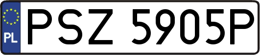 PSZ5905P