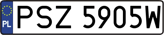 PSZ5905W