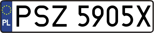 PSZ5905X