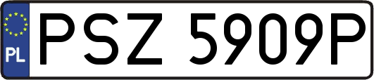 PSZ5909P