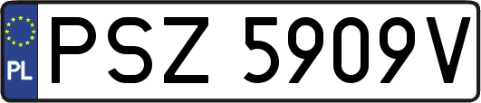 PSZ5909V