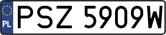 PSZ5909W