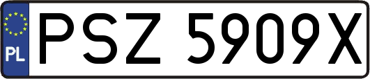 PSZ5909X
