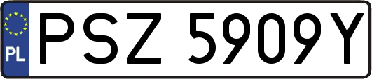 PSZ5909Y