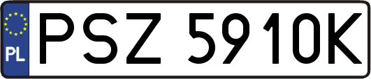 PSZ5910K
