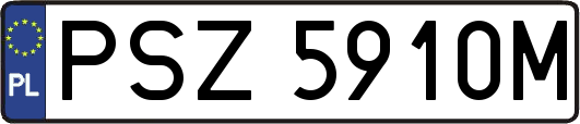 PSZ5910M