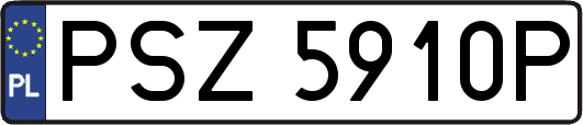 PSZ5910P