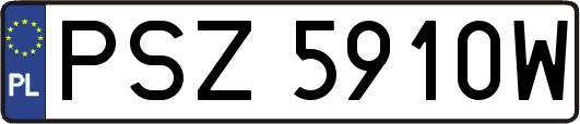 PSZ5910W