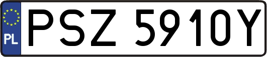PSZ5910Y