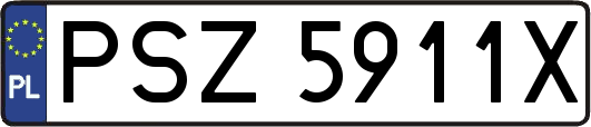 PSZ5911X