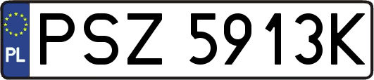 PSZ5913K