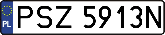 PSZ5913N