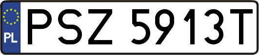 PSZ5913T