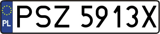 PSZ5913X