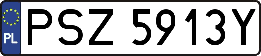 PSZ5913Y