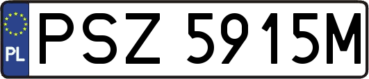 PSZ5915M