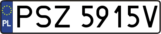 PSZ5915V